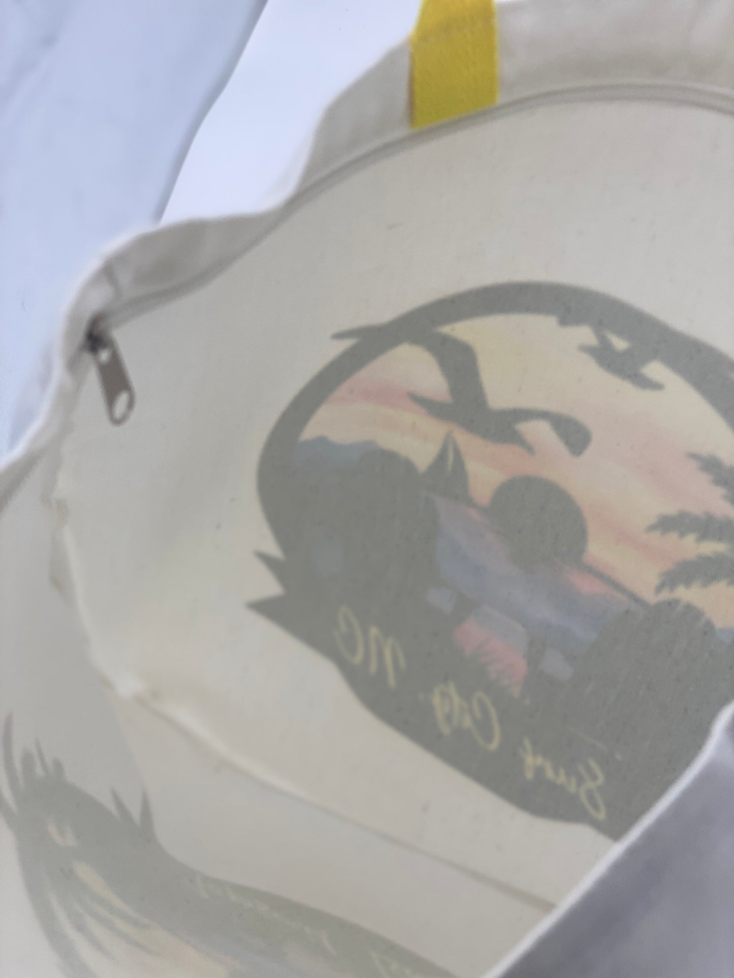 Inside view of a white bag with topsail beach design.