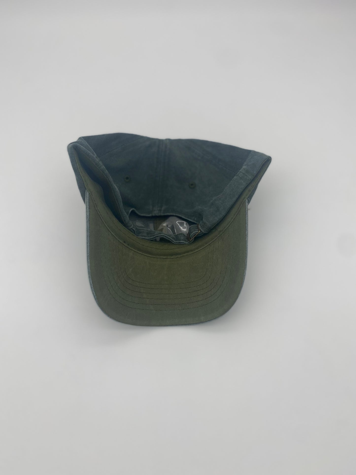 All I Need Is Vitamin Sea Baseball Cap in Green